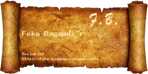Feke Bagamér névjegykártya
